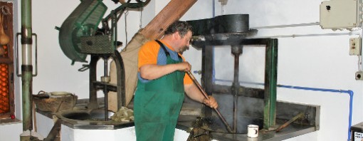 Nella seconda metà di settembre parte un corso interessante per gli olivicoltori