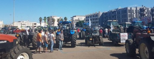 Olivicoltori in protesta, sfilano a Lecce con i trattori